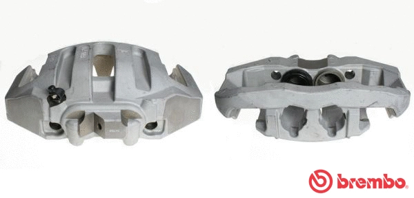 Brake Caliper (F 06 161)