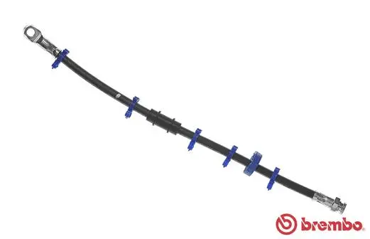 Brake Hose (T 23 153)