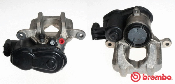 Brake Caliper (F 06 249)