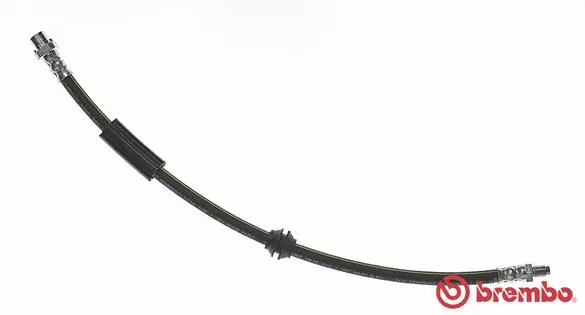 Brake Hose (T 06 038)