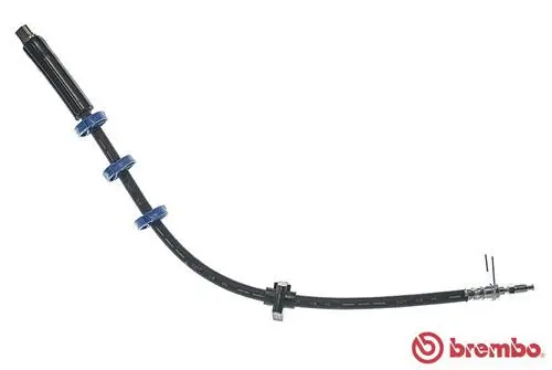 Brake Hose (T 61 035)