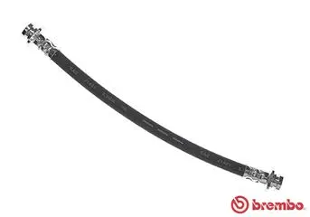 Brake Hose (T 79 031)