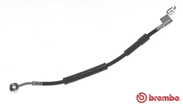 Brake Hose (T 37 002)