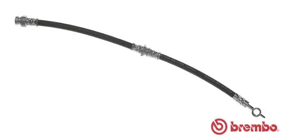 Brake Hose (T 54 034)