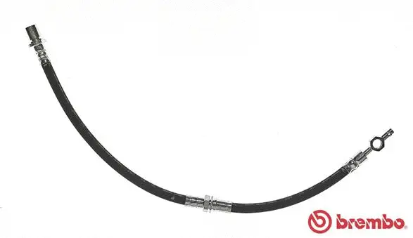 Brake Hose (T 83 037)