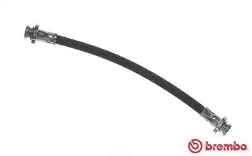 Brake Hose (T 56 130)