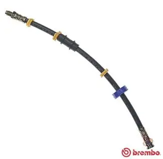 Brake Hose (T 23 013)