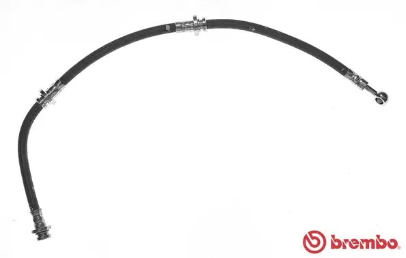 Brake Hose (T 79 034)