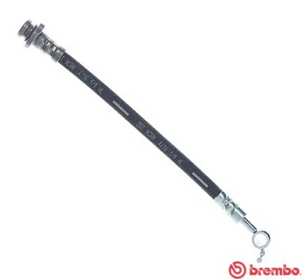 Brake Hose (T 56 163)