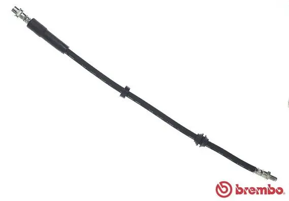 Brake Hose (T 06 053)