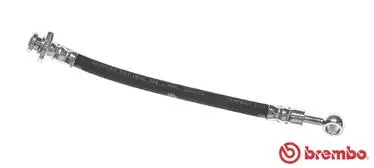 Brake Hose (T 56 144)