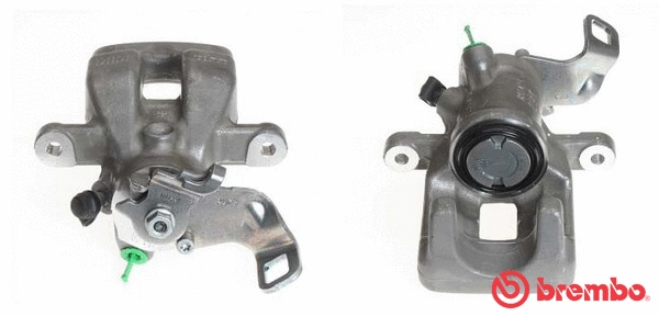 Brake Caliper (F 06 227)