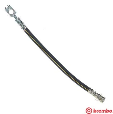 Brake Hose (T 85 137)