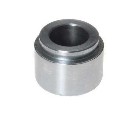 Piston, brake caliper (F PI 021)