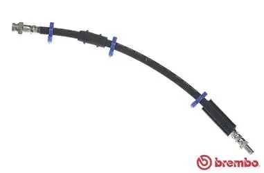 Brake Hose (T 23 122)