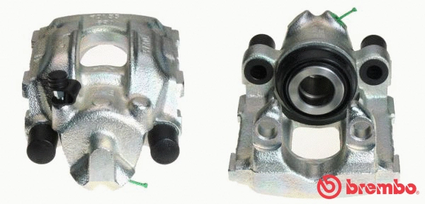 Brake Caliper (F 06 173)