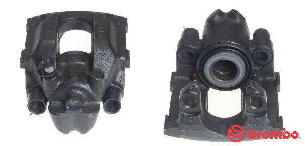 Brake Caliper (F 06 215)