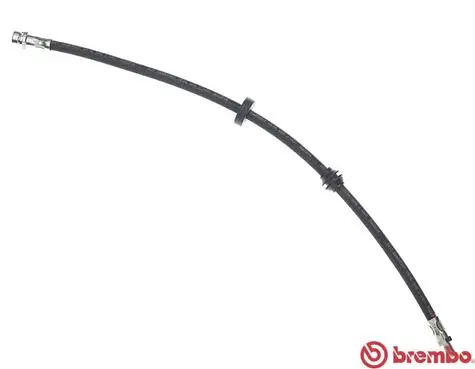 Brake Hose (T 24 021)