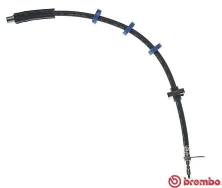 Brake Hose (T 61 034)