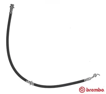 Brake Hose (T 56 142)