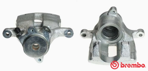 Brake Caliper (F 06 105)