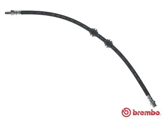 Brake Hose (T 44 033)