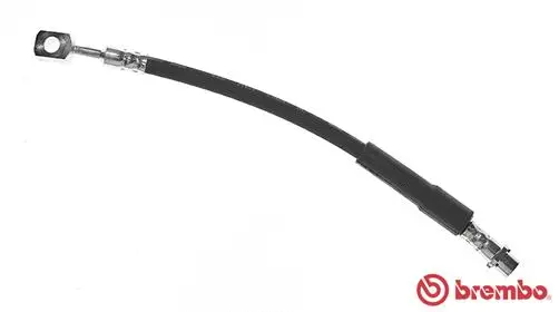 Brake Hose (T 59 077)