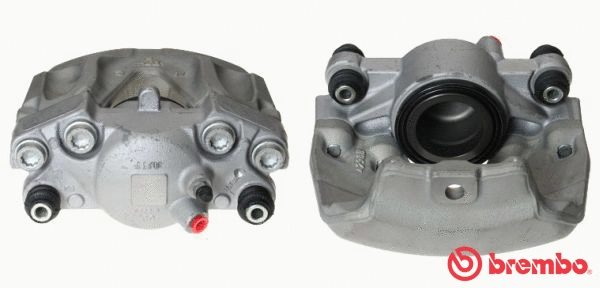 Brake Caliper (F 50 302)