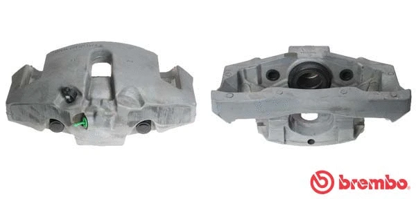 Brake Caliper (F 06 255)