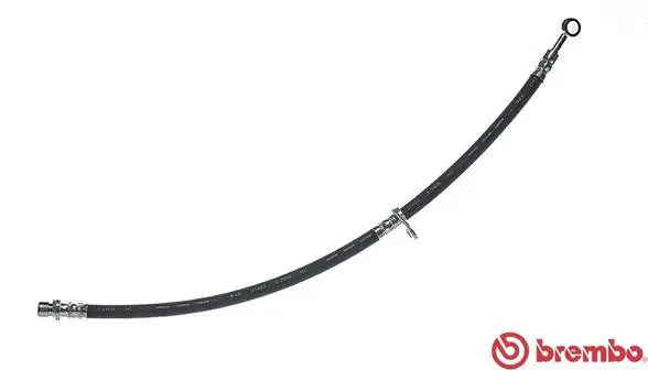 Brake Hose (T 52 008)