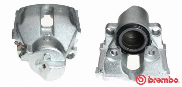 Brake Caliper (F 06 197)