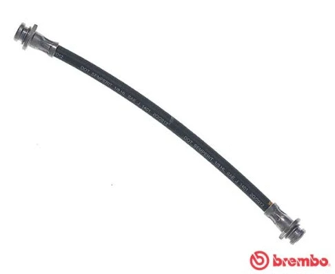 Brake Hose (T 79 024)