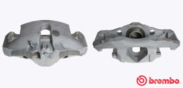 Brake Caliper (F 06 207)