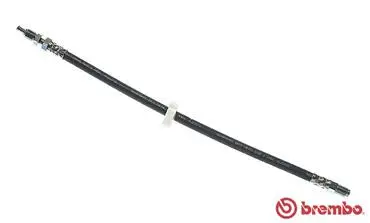 Clutch Hose (T 23 059)