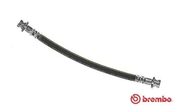 Brake Hose (T 56 139)