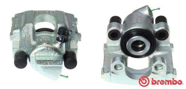 Brake Caliper (F 06 054)