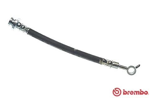Brake Hose (T 56 165)