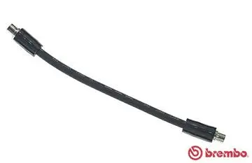 Brake Hose (T 85 134)