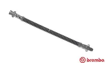 Brake Hose (T 54 036)