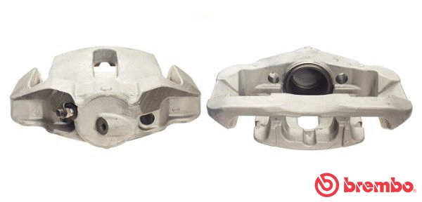 Brake Caliper (F 06 131)
