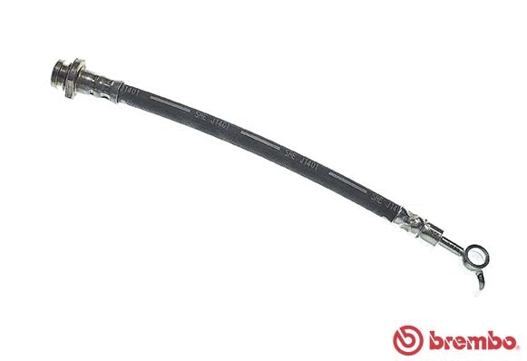 Brake Hose (T 56 162)