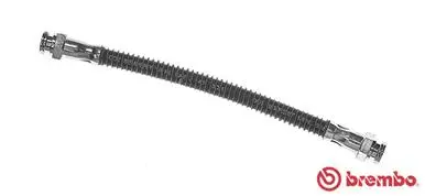 Brake Hose (T 61 081)