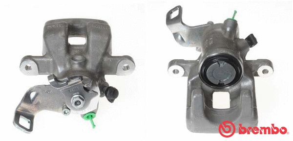 Brake Caliper (F 06 226)
