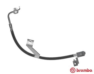 Brake Hose (T 24 082)