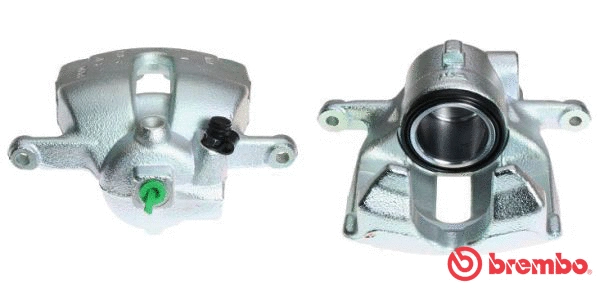 Brake Caliper (F 06 163)