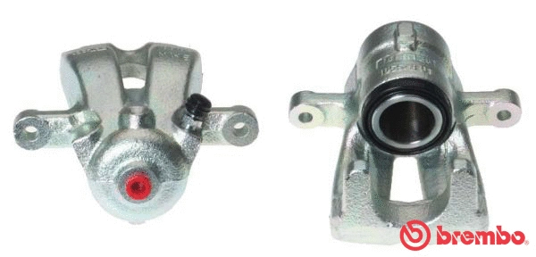 Brake Caliper (F 06 149)