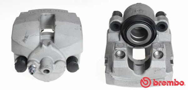 Brake Caliper (F 06 187)