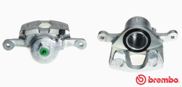 Brake Caliper (F 15 011)