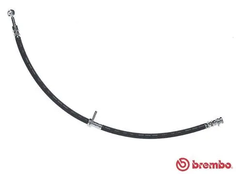 Brake Hose (T 79 043)