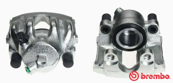Brake Caliper (F 06 019)